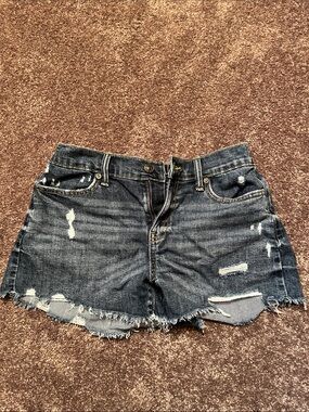 American Eagle Outfitters Distressed Dark Blue Denim Cutoff Shorts